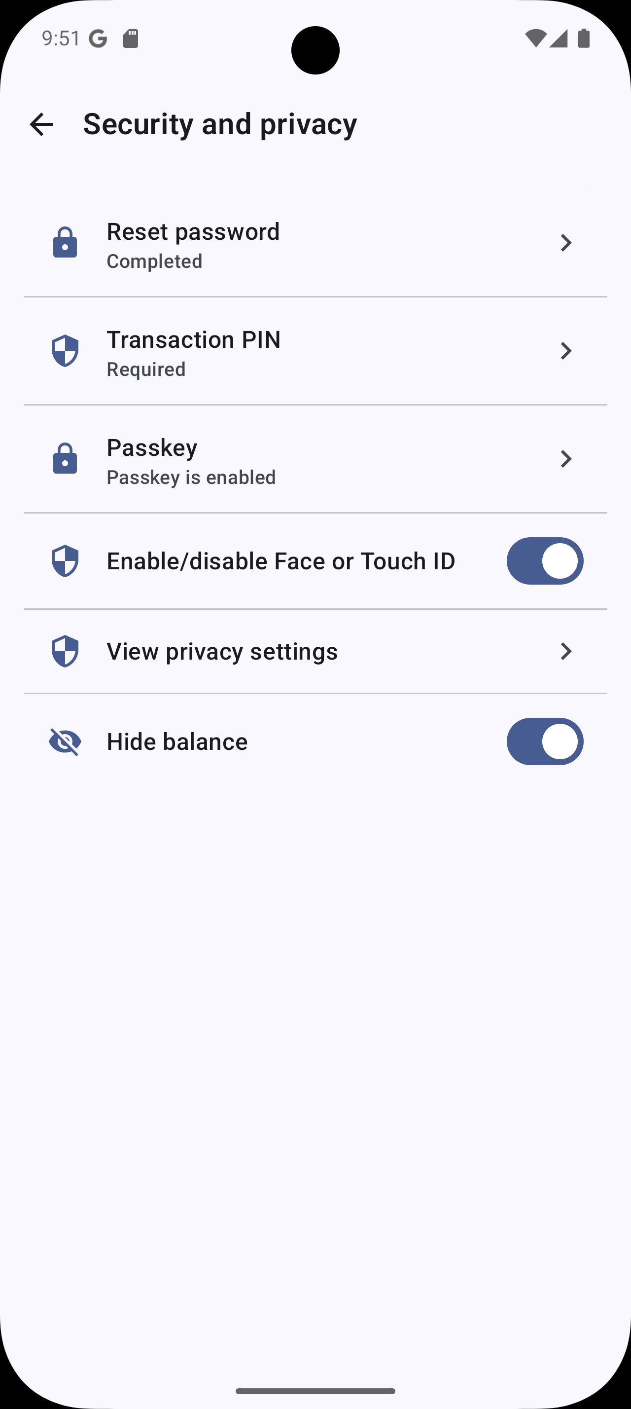 PaySmart security and privacy screen showing reset password, transaction PIN, passkey, biometric controls, privacy settings, and hide balance.